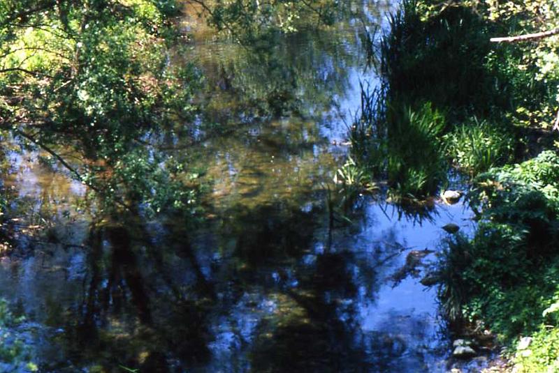 95-Per Ferla,l'Anapo,23 aprile 2000.jpg